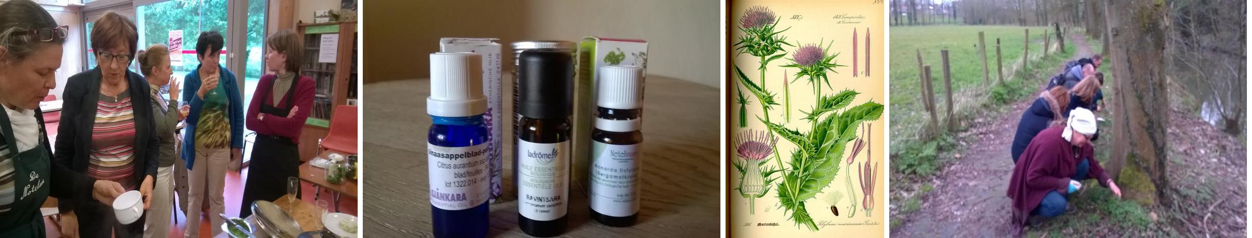 Photo Collection arr-kruiden_cosmetica